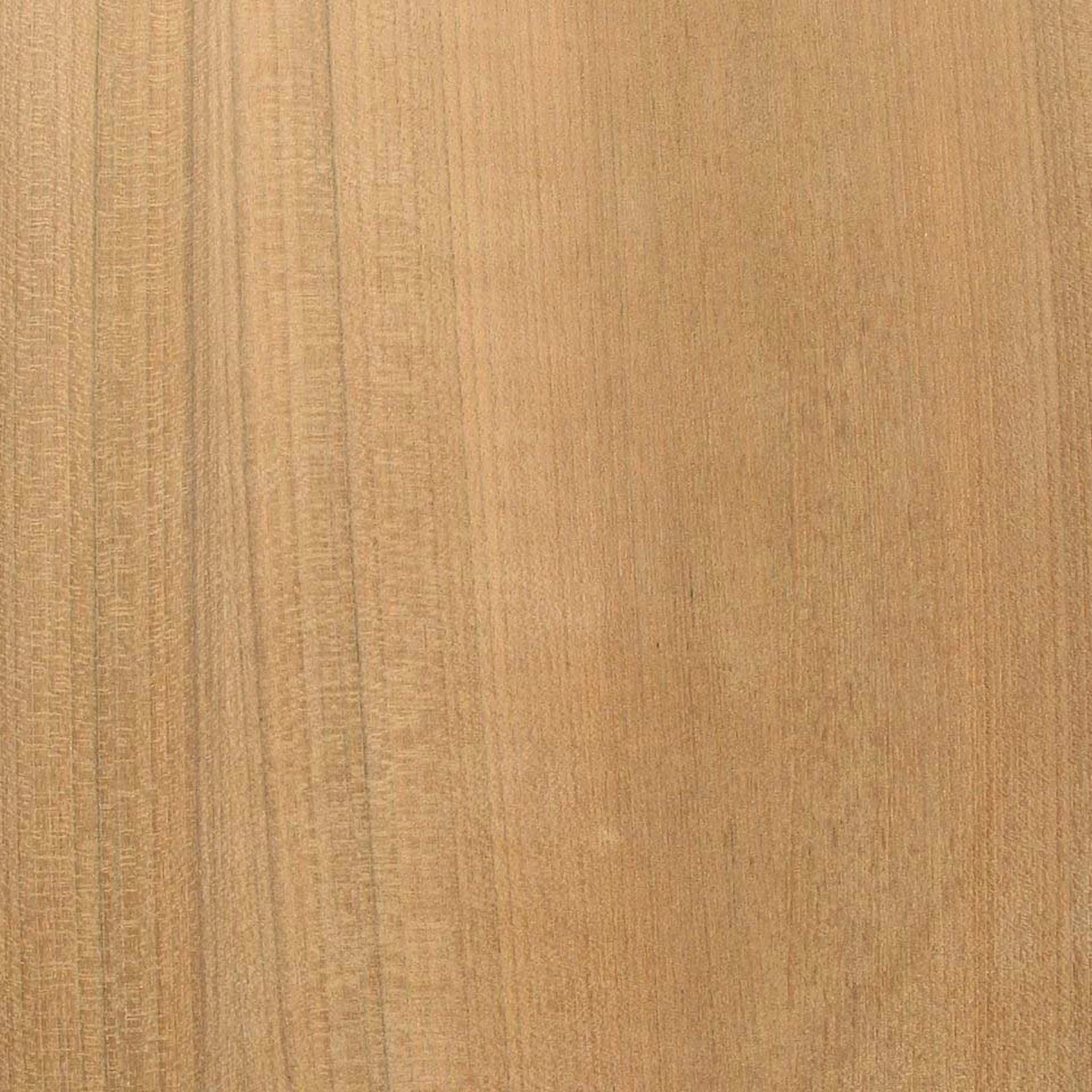 Teak W62