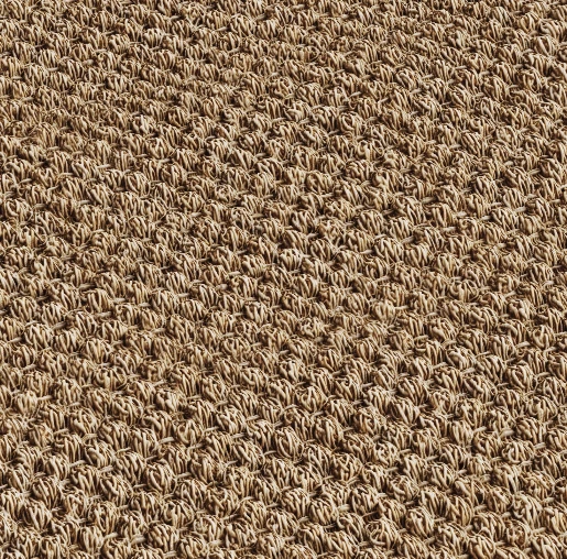 Biscuit D71