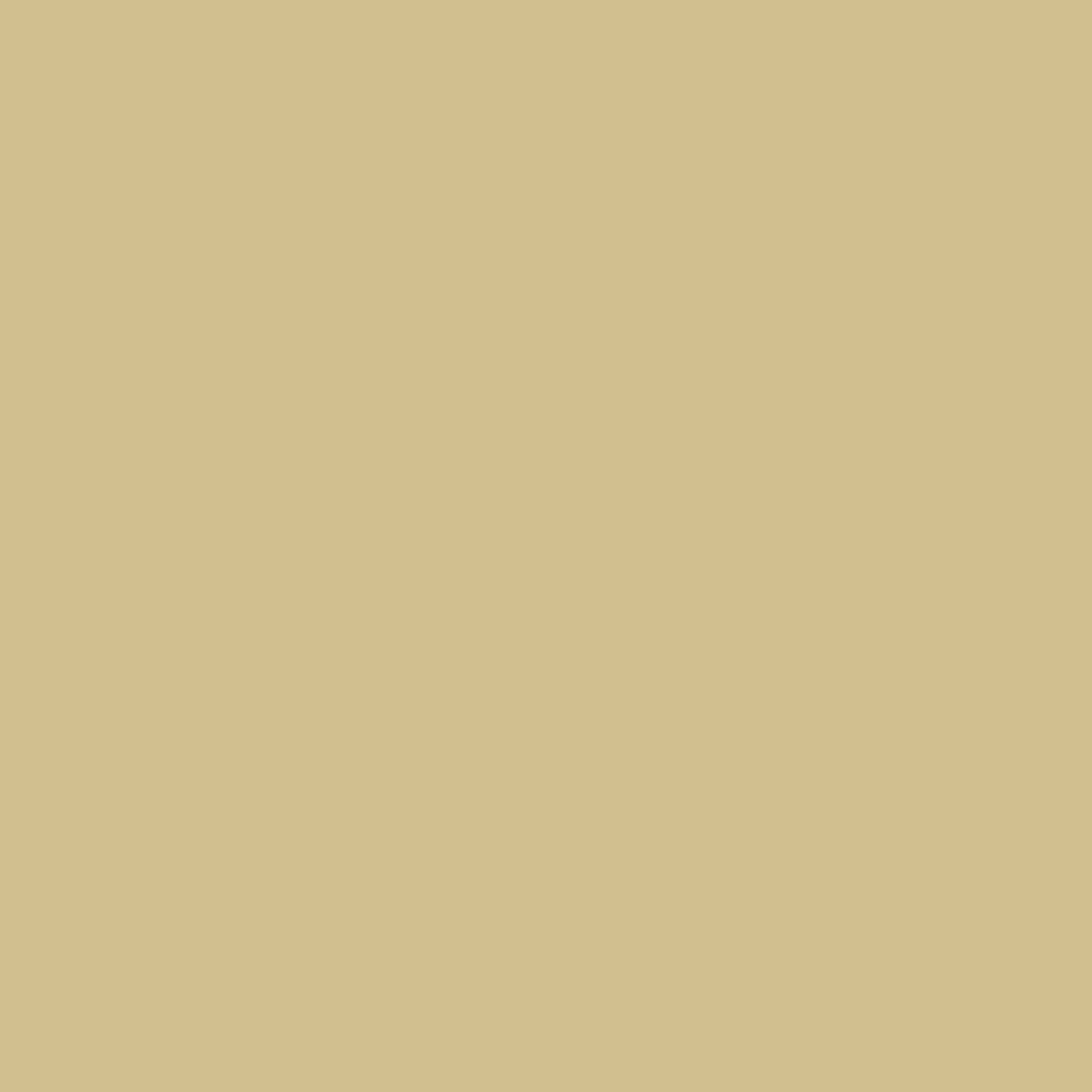 Almond A04