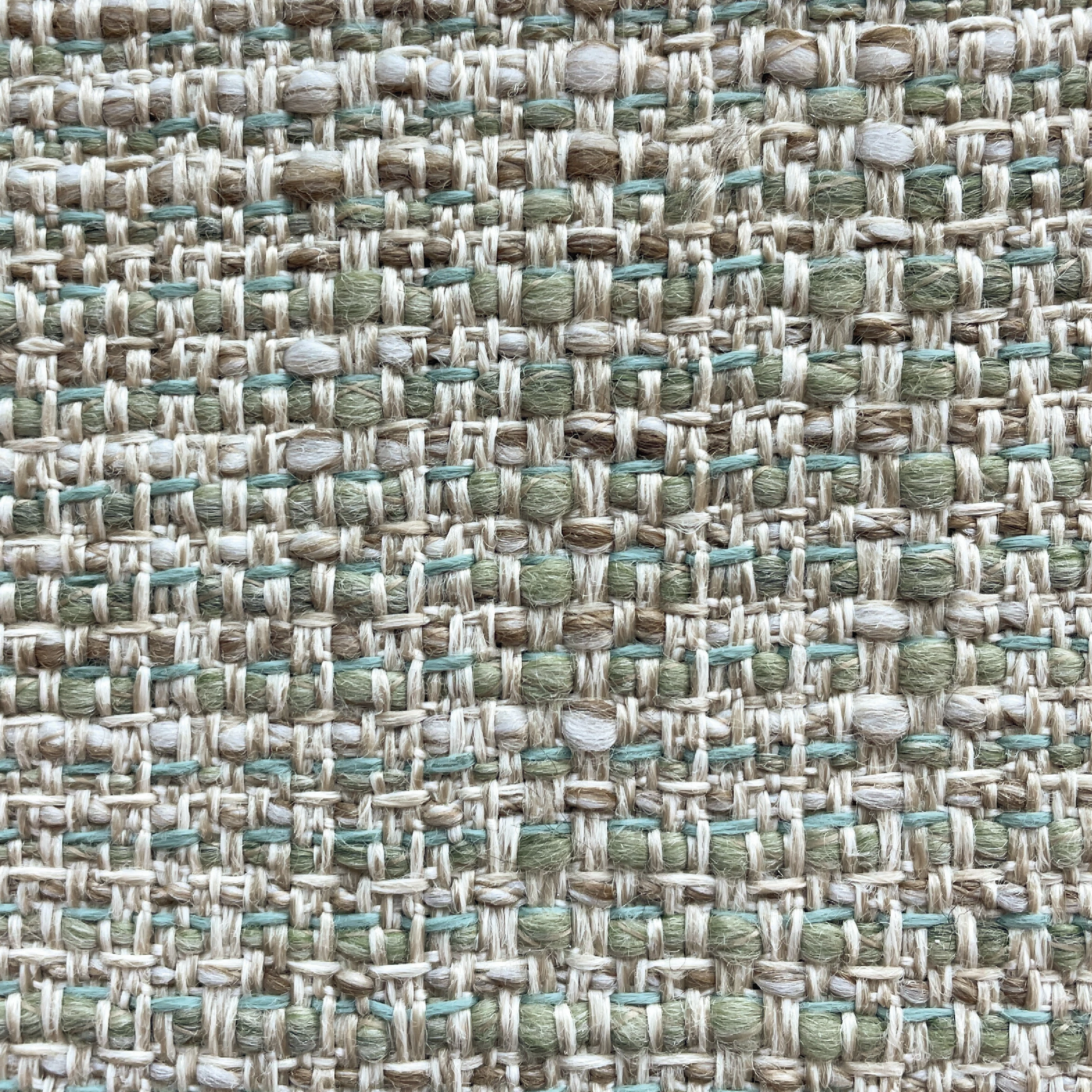 C446 seaweed