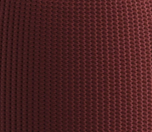 Raspberry R25