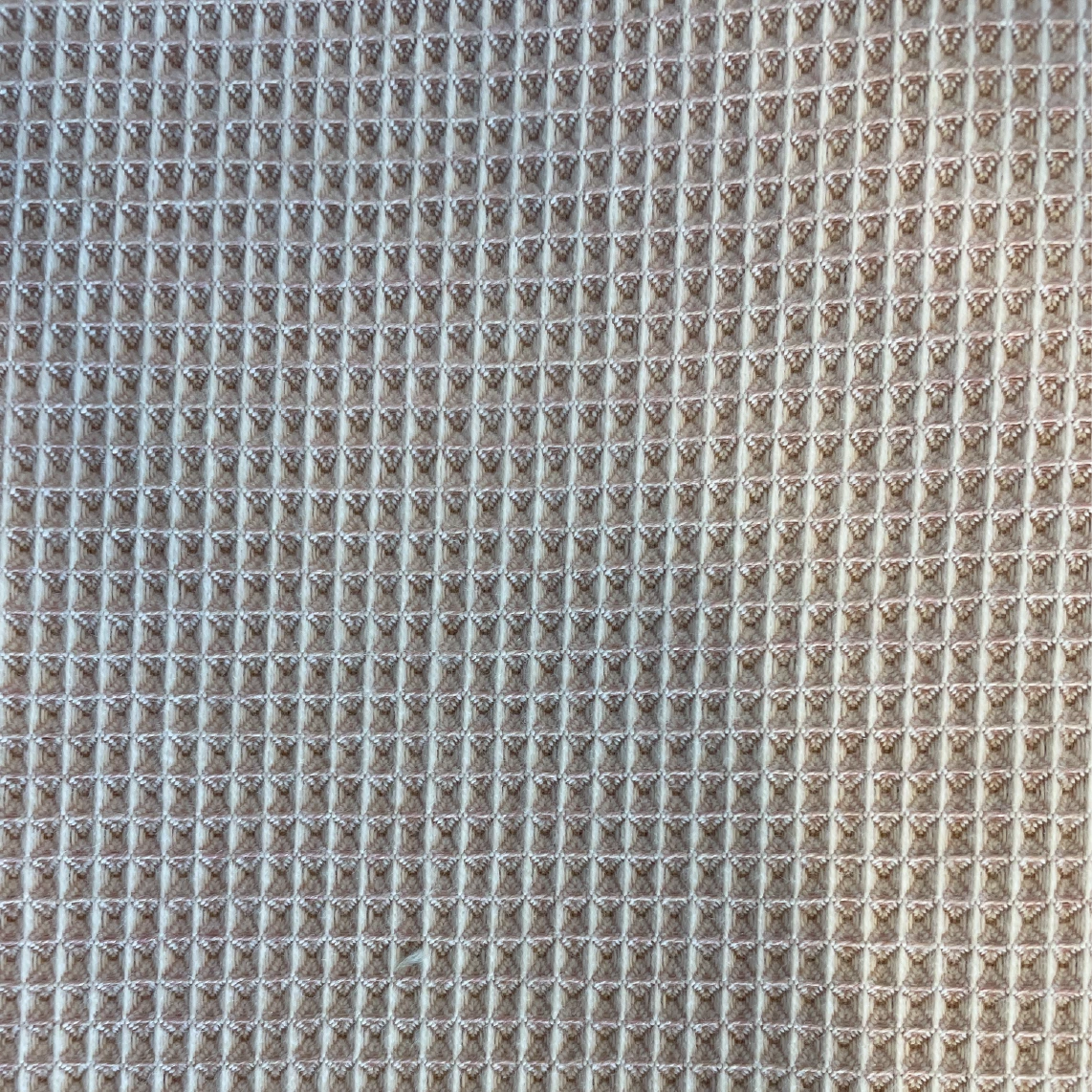Lychee C494