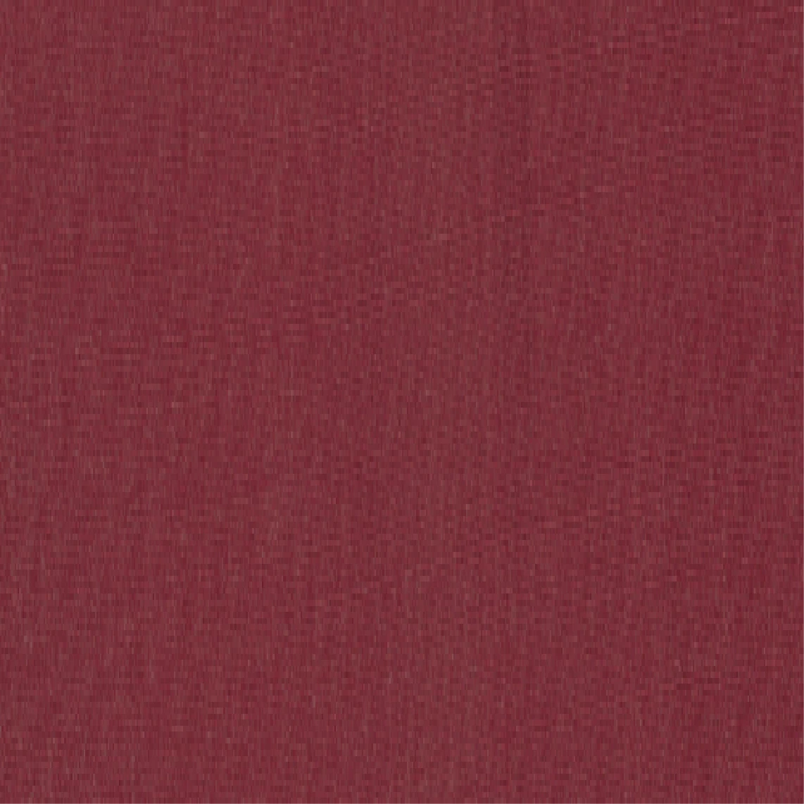 Barolo C495