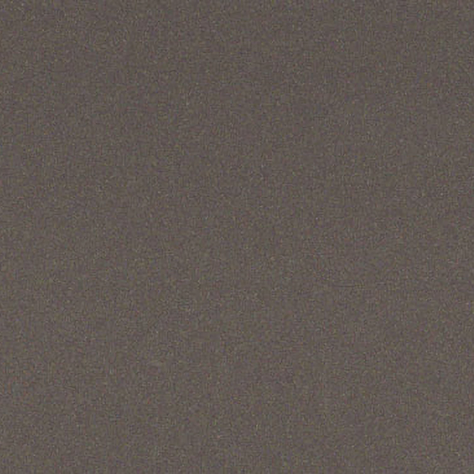 Taupe A11